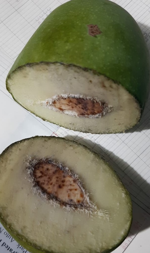 Raw Mango Inside
