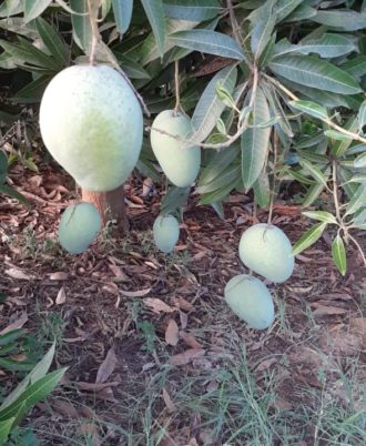 WhatsApp Image 2019-05-19 at 13.45.34